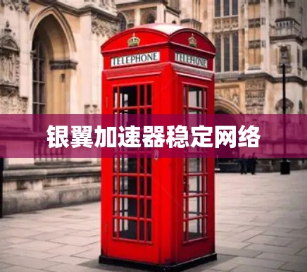 银翼加速器稳定网络