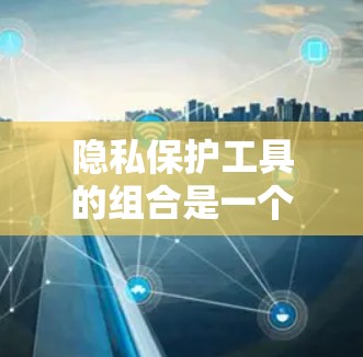 隐私保护工具的组合是一个复杂而重要的任务,因为隐私保护需要综合考虑技术、法律和社会因素。以下是一些常见的隐私保护工具和解决方案,可以帮助您覆盖不同的隐私保护需求