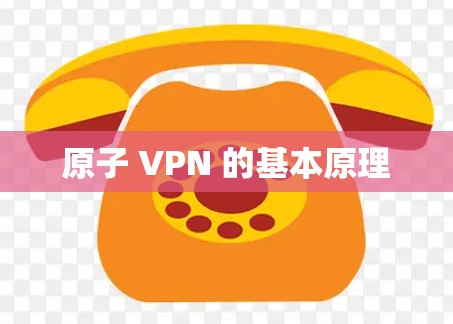 原子 VPN 的基本原理