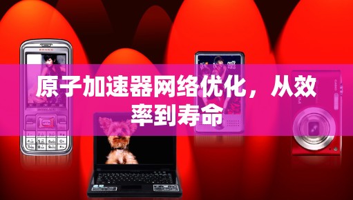 原子加速器网络优化，从效率到寿命