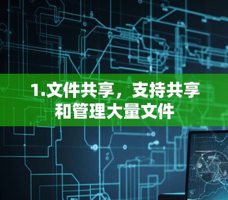 1.文件共享，支持共享和管理大量文件