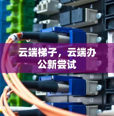 云端<strong>梯子</strong>,云端办公新尝试