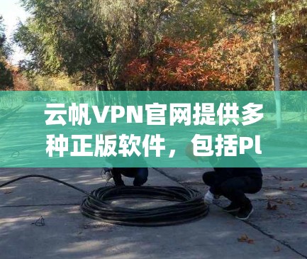 云帆VPN官网提供多种正版软件,包括Player、Free和Free Online,供用户下载使用。以下是关于这些软件的详细分析 云帆VPN官网提供多种正版软件,包括Player、Free和Free Online,供用户下载使用。以下是关于这些软件的详细分析