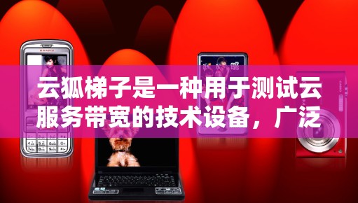 云狐<strong>梯子</strong>是一种用于测试云服务带宽的技术设备，广泛应用于云服务提供商进行带宽测试。以下是对云狐<strong>梯子</strong>的详细解答