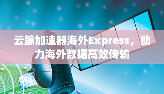 云鲸加速器海外Express,助力海外数据高效传输