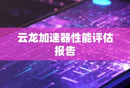 云龙加速器性能评估报告 云龙加速器性能评估报告