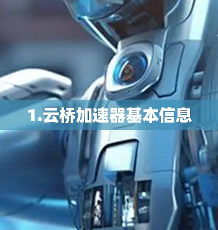 1.云桥加速器基本信息 1.云桥加速器基本信息