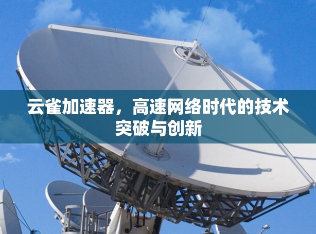 云雀加速器,高速网络时代的技术突破与创新