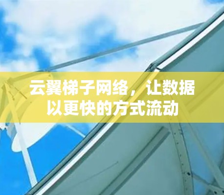 云翼<strong>梯子</strong>网络，让数据以更快的方式流动