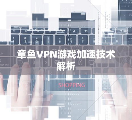 章鱼VPN游戏加速技术解析
