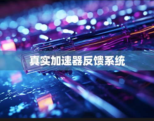 真实加速器反馈系统