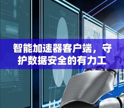 智能加速器客户端，守护数据安全的有力工具