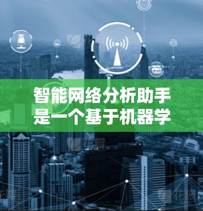 智能网络分析助手是一个基于机器学习的工具，主要用于处理文本数据，提供内容摘要、情感分析和分类功能。以下是对其功能的详细分析