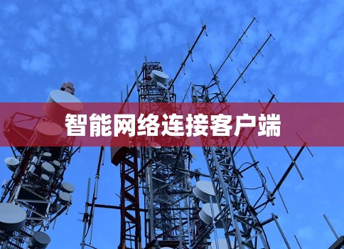 智能网络连接客户端