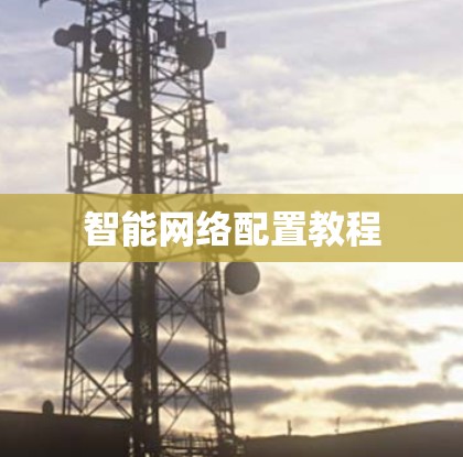 智能网络配置教程