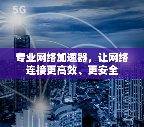 专业网络加速器,让网络连接更高效、更安全 专业网络加速器,让网络连接更高效、更安全