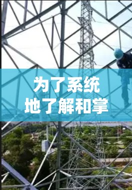 为了系统地了解和掌握自动代理系统的使用指南，可以按照以下步骤进行