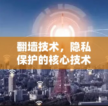 翻墙技术,隐私保护的核心技术 翻墙技术,隐私保护的核心技术