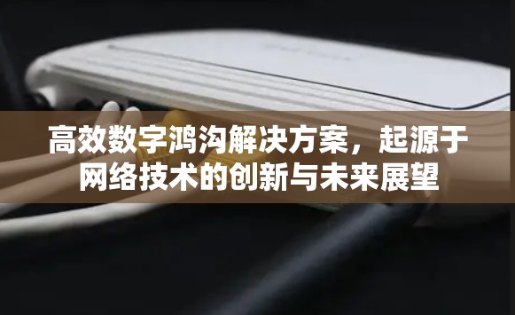 高效数字鸿沟解决方案,起源于网络技术的创新与未来展望 高效数字鸿沟解决方案,起源于网络技术的创新与未来展望