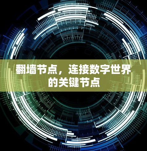 翻墙节点，连接数字世界的关键节点