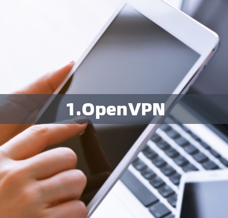 1.OpenVPN
