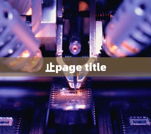 止page title