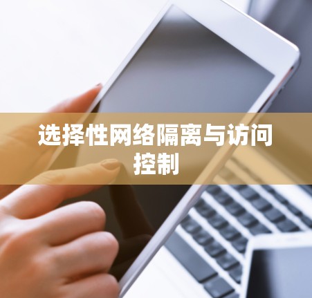 选择性网络隔离与访问控制