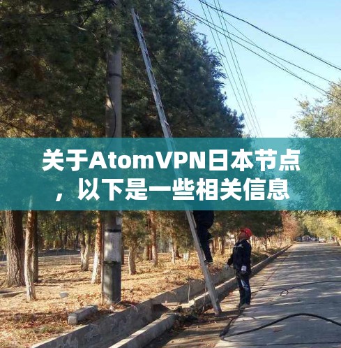 关于AtomVPN日本节点，以下是一些相关信息