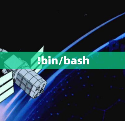 !bin/bash