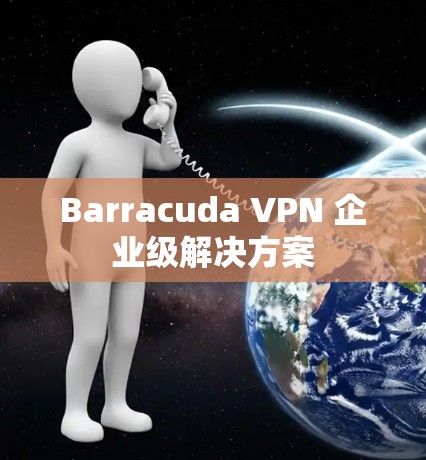 Barracuda VPN 企业级解决方案