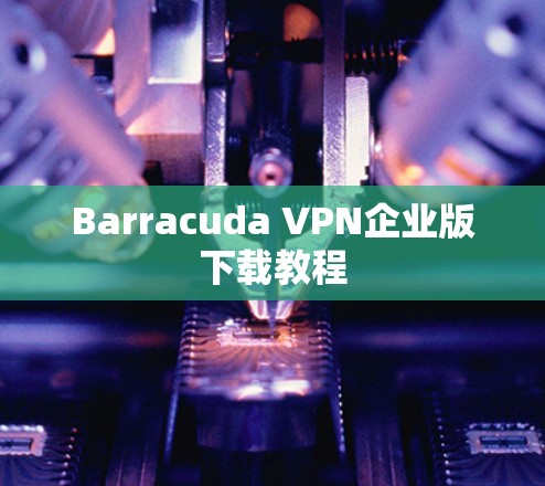 Barracuda VPN企业版下载教程