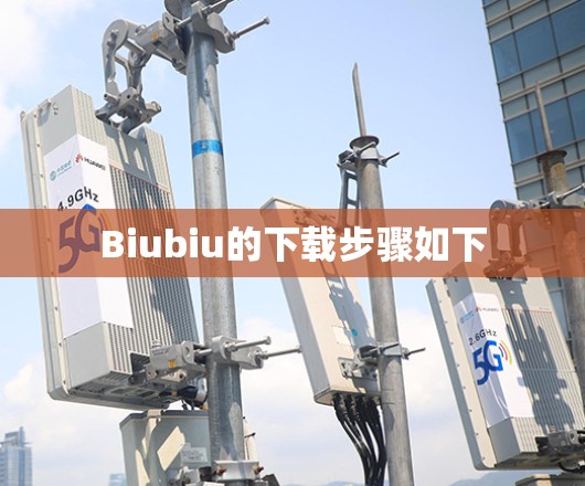 Biubiu的下载步骤如下
