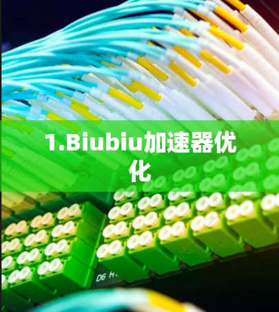 1.Biubiu加速器优化 1.Biubiu加速器优化