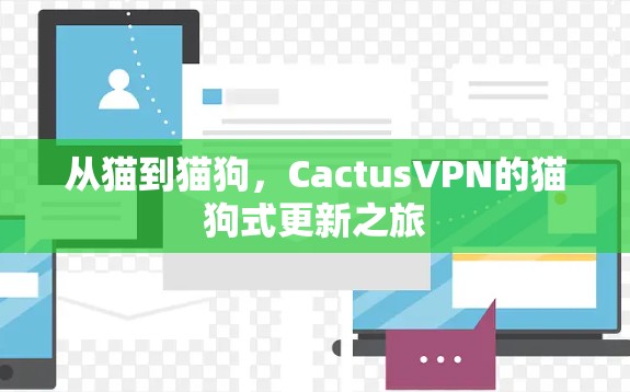 从猫到猫狗,CactusVPN的猫狗式更新之旅 从猫到猫狗,CactusVPN的猫狗式更新之旅