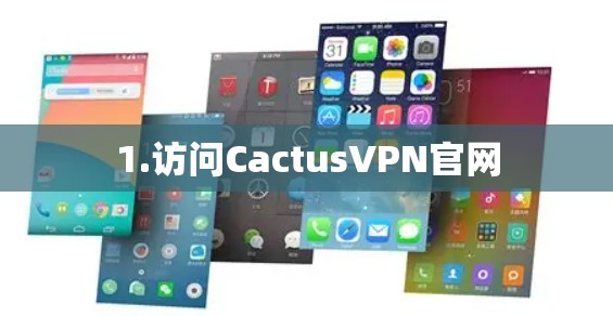 1.访问CactusVPN官网