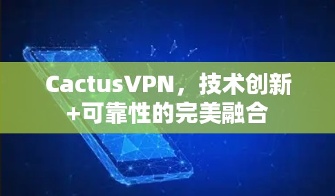 CactusVPN,技术创新+可靠性的完美融合