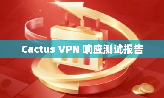 Cactus VPN 响应测试报告