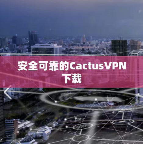 安全可靠的CactusVPN下载