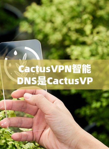 CactusVPN智能DNS是CactusVPN的一个核心功能，它通过机器学习和大数据分析，优化网络环境，提升用户网络性能并增强安全性。以下是详细的功能说明