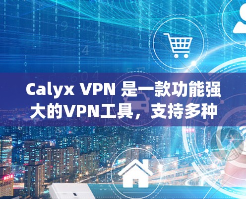 Calyx VPN 是一款功能强大的VPN工具，支持多种连接方式和设置。以下是使用 Capyron VPN 进行连接测试的详细步骤