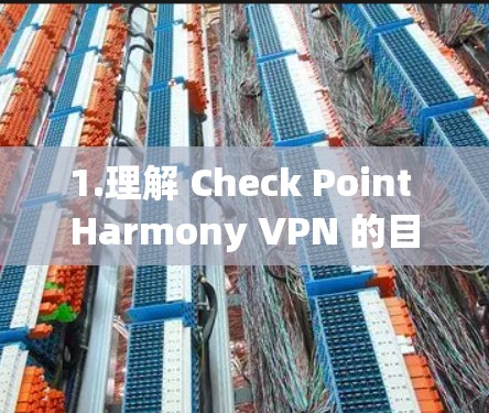 1.理解 Check Point Harmony VPN 的目标