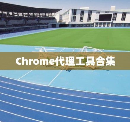 Chrome代理工具合集