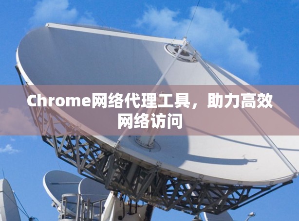 Chrome网络代理工具，助力高效网络访问