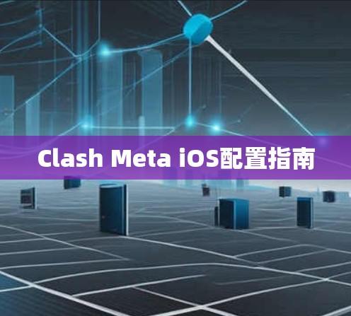 Clash Meta iOS配置指南