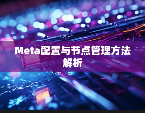 Meta配置与节点管理方法解析