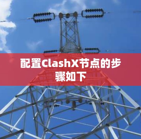 配置ClashX节点的步骤如下