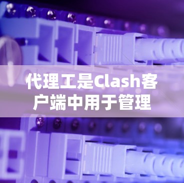 代理工是Clash客户端中用于管理代理服务器的重要工具,以下是对其进行全面的评测和总结
