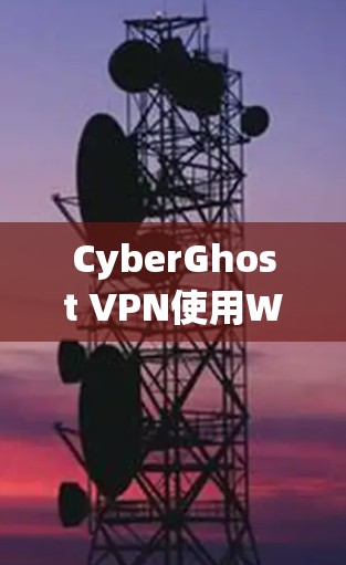 CyberGhost VPN使用Wireshark作为稳定连接软件,这是一种开源的IP地址追踪工具,支持多种VPN协议。以下是详细的步骤说明