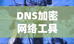 DNS加密网络工具,保护数据的安全密码 DNS加密网络工具,保护数据的安全密码