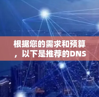 根据您的需求和预算，以下是推荐的DNS代理软件版本